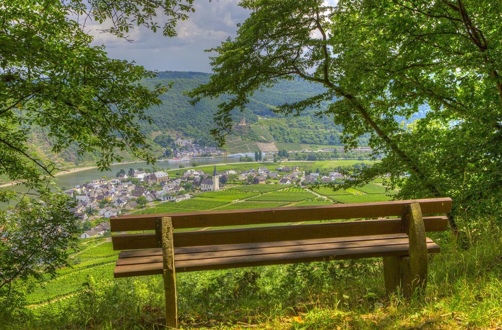 Hotel Lipmann "Am Klosterberg" Beilstein  Kültér fotó